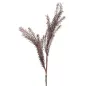 BULRUSH ROSSO 35x93 cm MIN 18